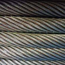 Steel Wire Rope/Galvanized Steel Wire Rope，6×19, 6×37, 7×7, 6×19S, 6×36WS thumbnail-3