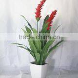 HIgh Simulation Ginger Flower Tropical Plants Artificial Plants Screen thumbnail-4