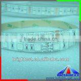 24v Led Strip Rgb 5050 Smd With 3m Tape on Backside thumbnail-1
