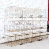 Anping Factory Low Carbon Steel Galvanized Welded Rabbit Cage Wire Mesh thumbnail-6