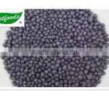 2013 Crop Small Black Beans thumbnail-1