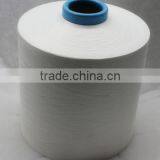 Hangzhou Supplier Dty 75D-450D Polyester Yarn Semi-dull Raw White thumbnail-1