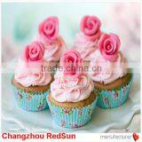 NDC(non Dairy Creamer) for Ice Creamer/cake Decoration/soup With Halal thumbnail-1