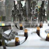 Automatic Stainless Steel Filling Capping Machine thumbnail-5