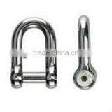 316 Grade Stainless Steel D Shackle