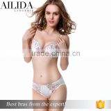 Ailida Hot Sale Rose Embroidery Sexy Women Bra Set Sexy Underwear