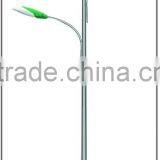 Green Lamp Cap Solar Powered Street Light 40W Solar Street Light thumbnail-5