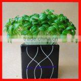 Beautiful Home Decorative Artificial Plant