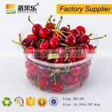 Hot Sell Disposable Cheap Plastic Salad Bowl thumbnail-4