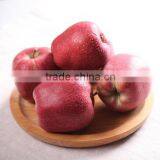 Fresh Apple Fruit for Sale Apple Fruit Fresh Price for Fresh Apple thumbnail-4