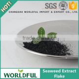 Natural high quality kelp seaweed extract flake helpful for cultivation