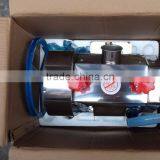 Neweek Professional Commercial Manual Ginger Juice Extracting Machine thumbnail-3