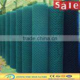 Hot Glavanized/PVC Coated Lowest Price Chicken Wire Mesh thumbnail-1