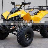125CC Atv Quad(SX-TE110) thumbnail-1