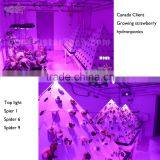 Factory 2016 3 Years Warranty 810 Watt COB Led Grow Light thumbnail-6