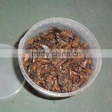 For Mouse & Fish & Cat Microwave Dried Crickets Wild Bird Pet Food thumbnail-2