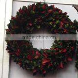Decorative Preserved Holly Leaves Wreath thumbnail-1