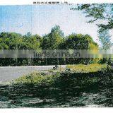 HOKKAIDO Kitahiroshima Land thumbnail-1