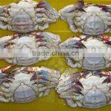 Frozen Seafood Best Seasons Alaskan Crab thumbnail-1