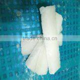 IQF Seafood/squid Loligo thumbnail-1