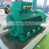 Cast Iron IE1 Three Phase Electric Motor thumbnail-4