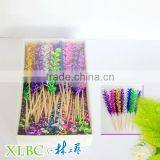 100pcs per Box Deco Picks "Spiral" thumbnail-1