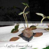 Strawberries Grow Bag thumbnail-1