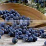 Juiper Berry Oil thumbnail-2