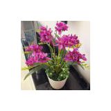 XH-OR-X-5102                   Product:Orchid,9 branches Material: polyester,wire, silk Length:20 inch