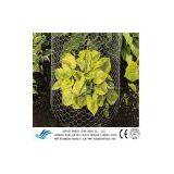 Stainless Steel Hexagonal Mesh thumbnail-2