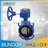 Soft Backed EPDM Seat Wafer Butterfly Valve Installation thumbnail-6