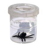 Two Section Bug Viewe thumbnail-1