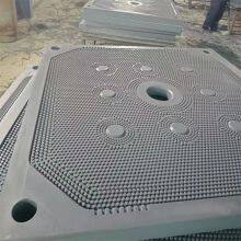 Hot Sale Laboratory Use Polypropylene Filter Press Plate thumbnail-4