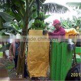 Banana Protection Bags/growing Bags for Fruit thumbnail-2