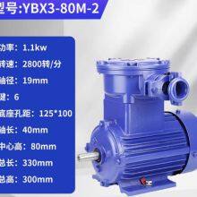 Wholesale Customized Electric Copper AC Motor for Explosion Proof Mining Motor thumbnail-4