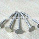 Big Head Clout Nail thumbnail-2