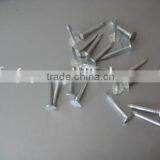 Flat Head Clout Nails