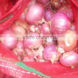 2015 New Crop Good Quality of the Onion thumbnail-2