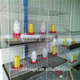 Africa Market Nigeria Farm Use Best Price Pullet Rearing Cage for One Day Old Chicks thumbnail-3