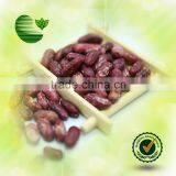 Red Speckled Kidney Beans thumbnail-1