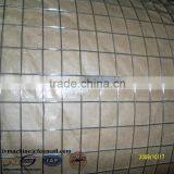 Galvanized Welded Wire Mesh Aviary Wire Mesh thumbnail-4