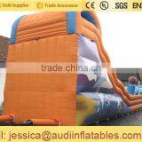 Inflatable Dolphin Slide Large for Sale thumbnail-4
