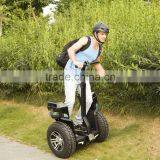 Electric Human Transporter Bldc Motor for Electric Vehicle