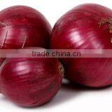 Red Onions Indian Onions thumbnail-3