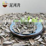 5009 Sunflower Seeds Market Price thumbnail-3