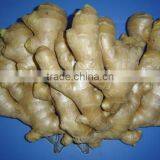 Fresh Air Dried Ginger thumbnail-5