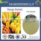 Natural and Pure Mango Fruit Powder. High-quality Mango Powder