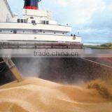 SEA FREIGHT DELIVERY( Coal, Iron Ore, Cement, Fertilisers, Salt, Containers, Steel, Grain, Coke, Scrap, Timber,) thumbnail-3