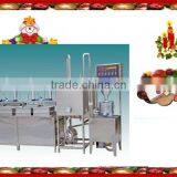 200 Kgs Tofu/hr Automatic Soymilk/tofu Machine