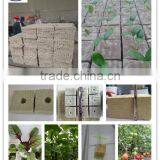 Hydroponic Grow Rockwool Mineral Wool Cubes for Plant Growing thumbnail-6